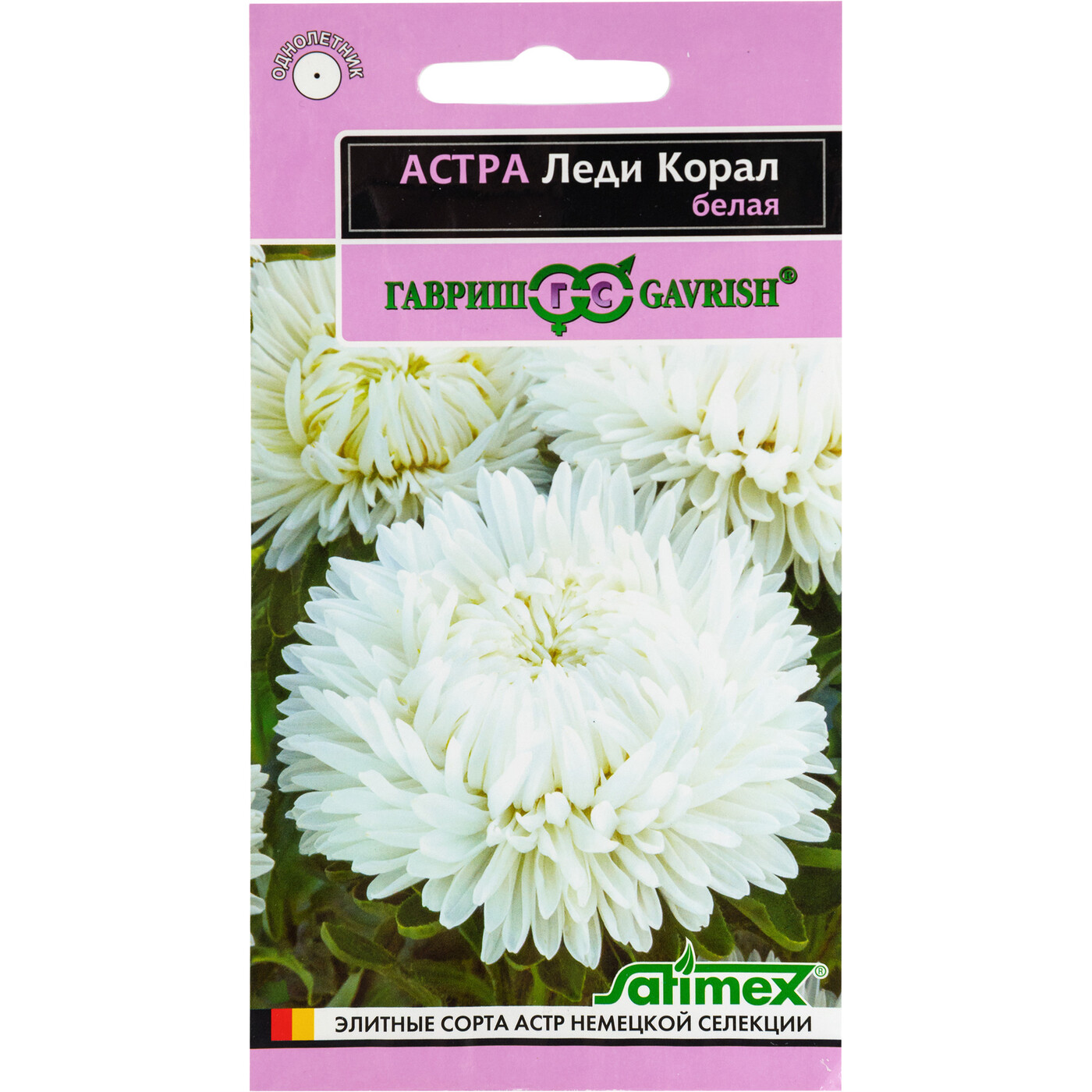 Семена Астры Купить В Интернет Магазине