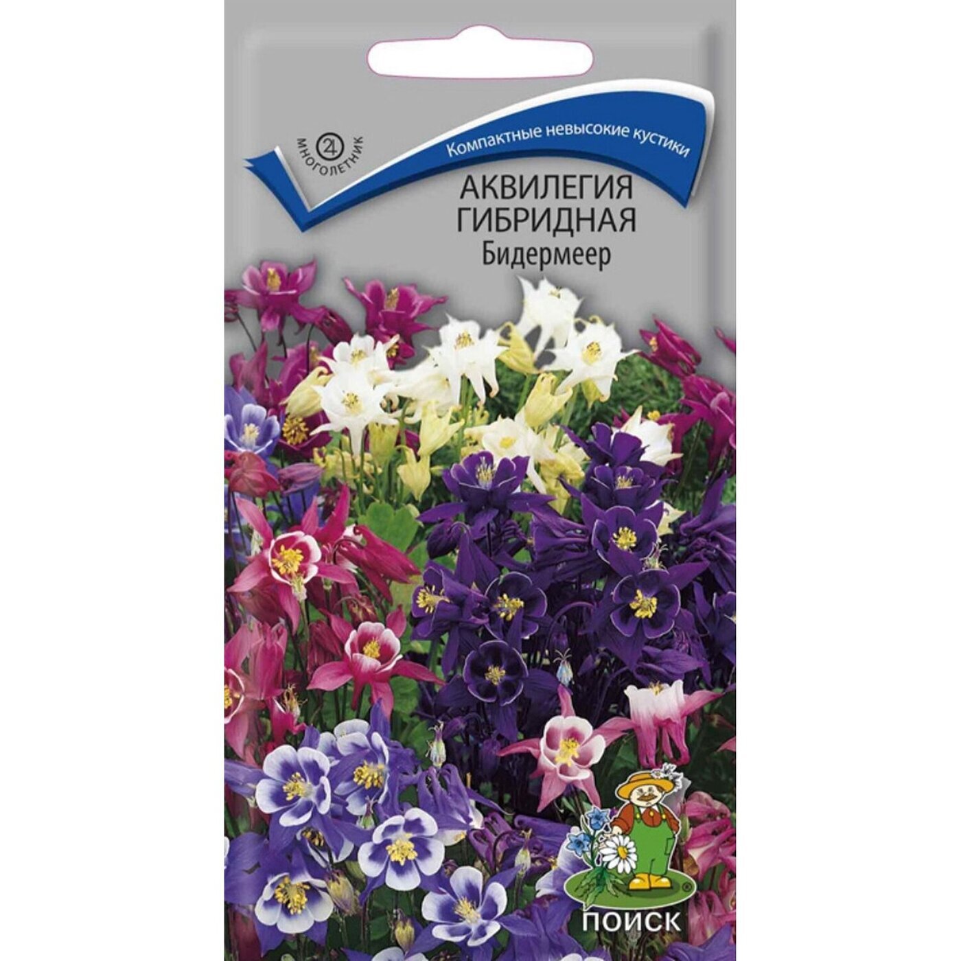 Аквилегия Купить