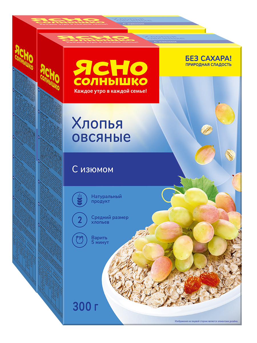 Хлопья овсяные с изюмом Ясно Солнышко, 2 пачки по 300 г — купить в ...