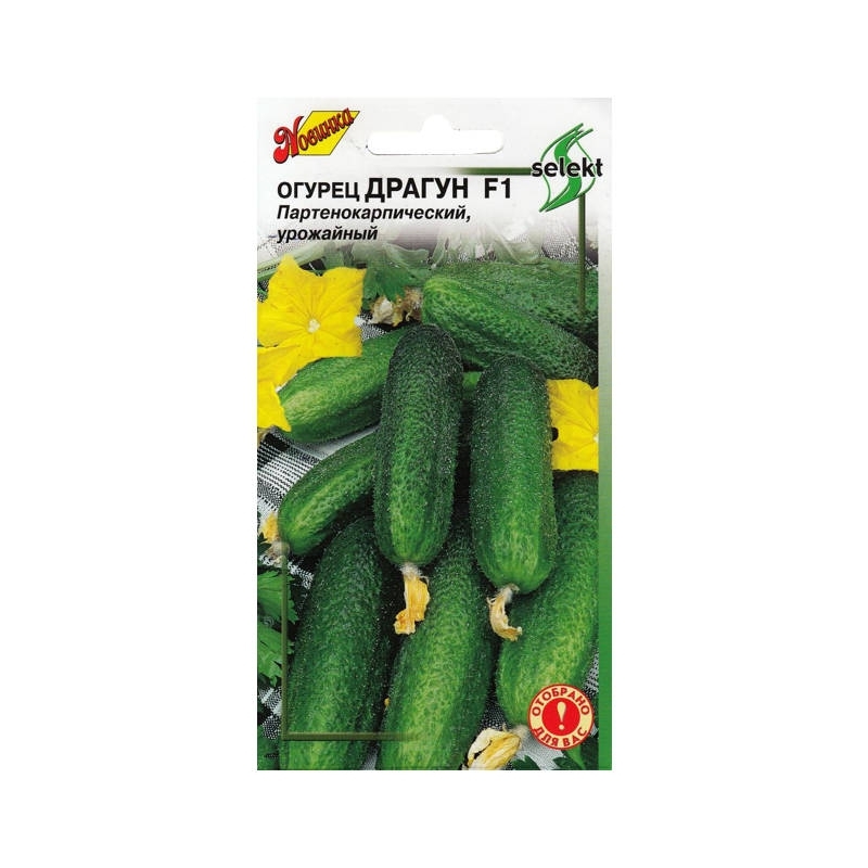 Огурец драгун f1. Огурец домовой f1. Семена поиск аптека на грядке базилик овощной тонус 0. Огурец драгун f1 описание. Огурец лакомка.