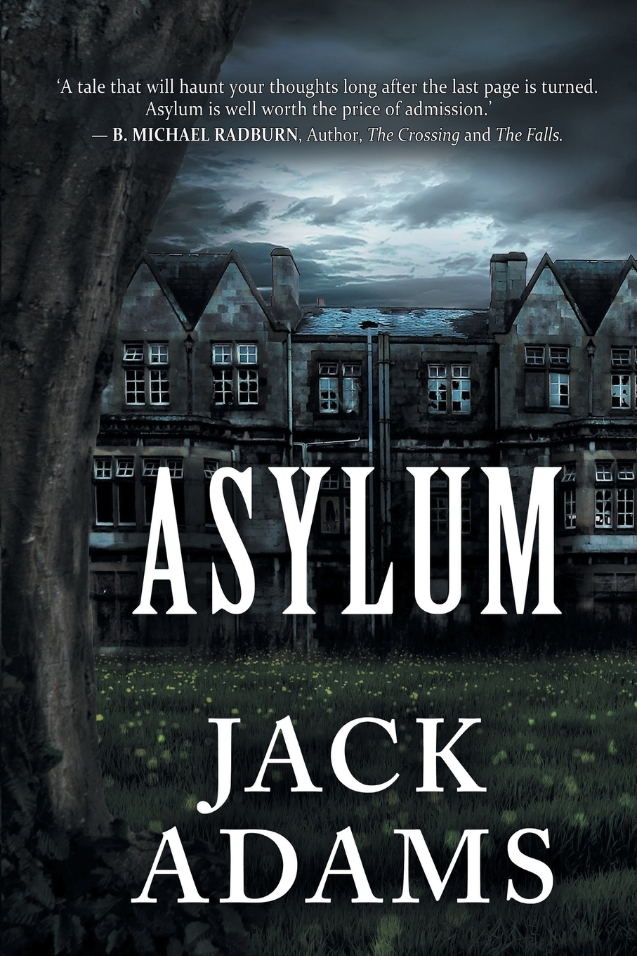Asylum обзор. Джек адамс. the asylum. jack adams. lock master asylum.