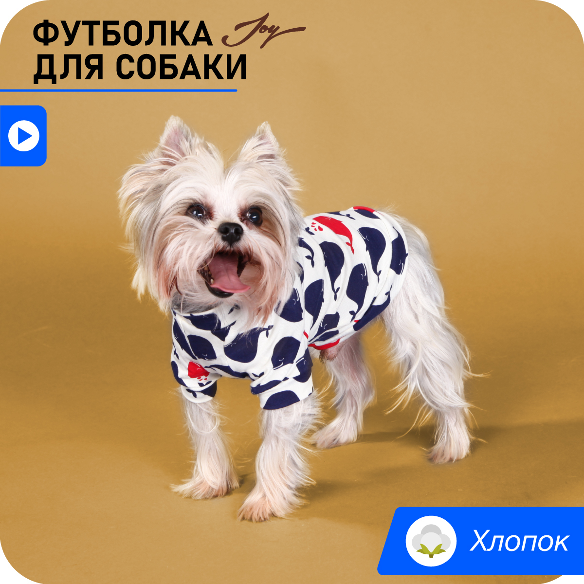 JOY/Футболка для животных/30М/ для собак мелких пород/ для средних ...