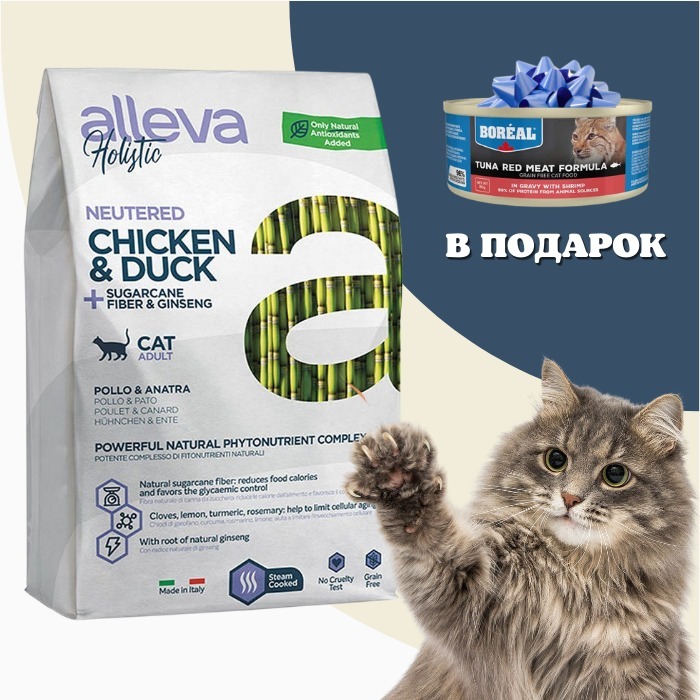 Корма Alleva Для Котят Купить