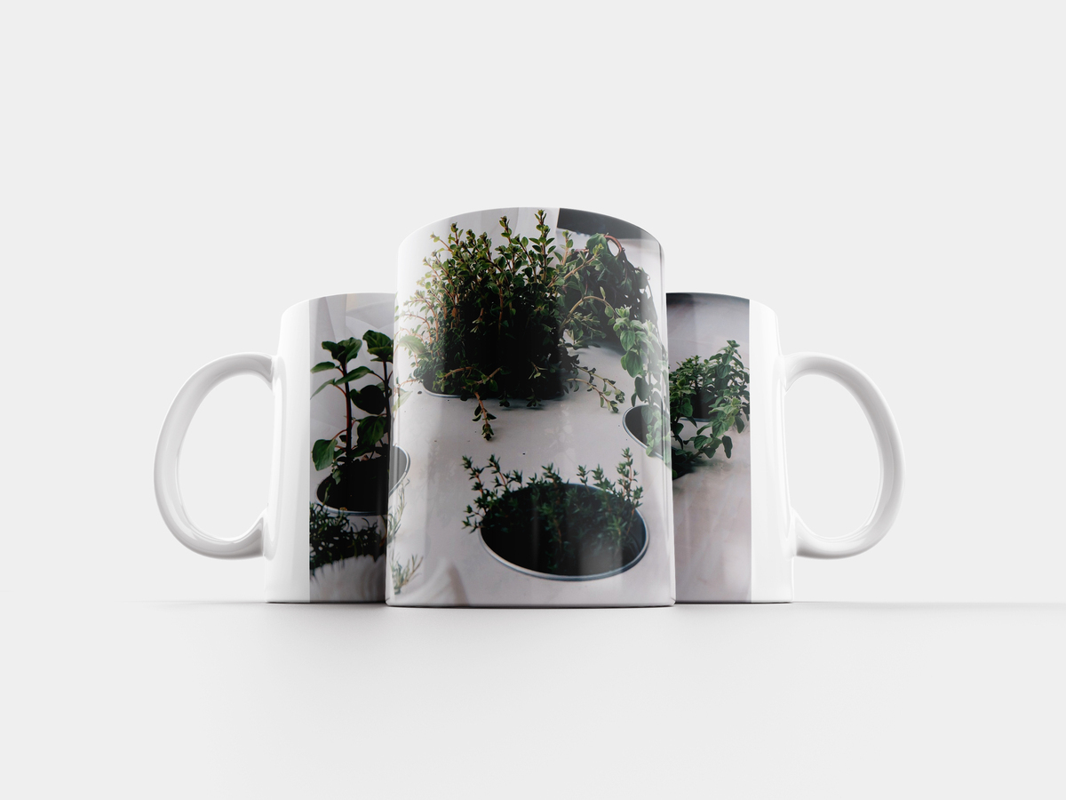 Белая кружка принт папоротник. Травы в кружке. Чашка растительный дизайн. Кружка растения. Кружка скалы меняющие цвет.