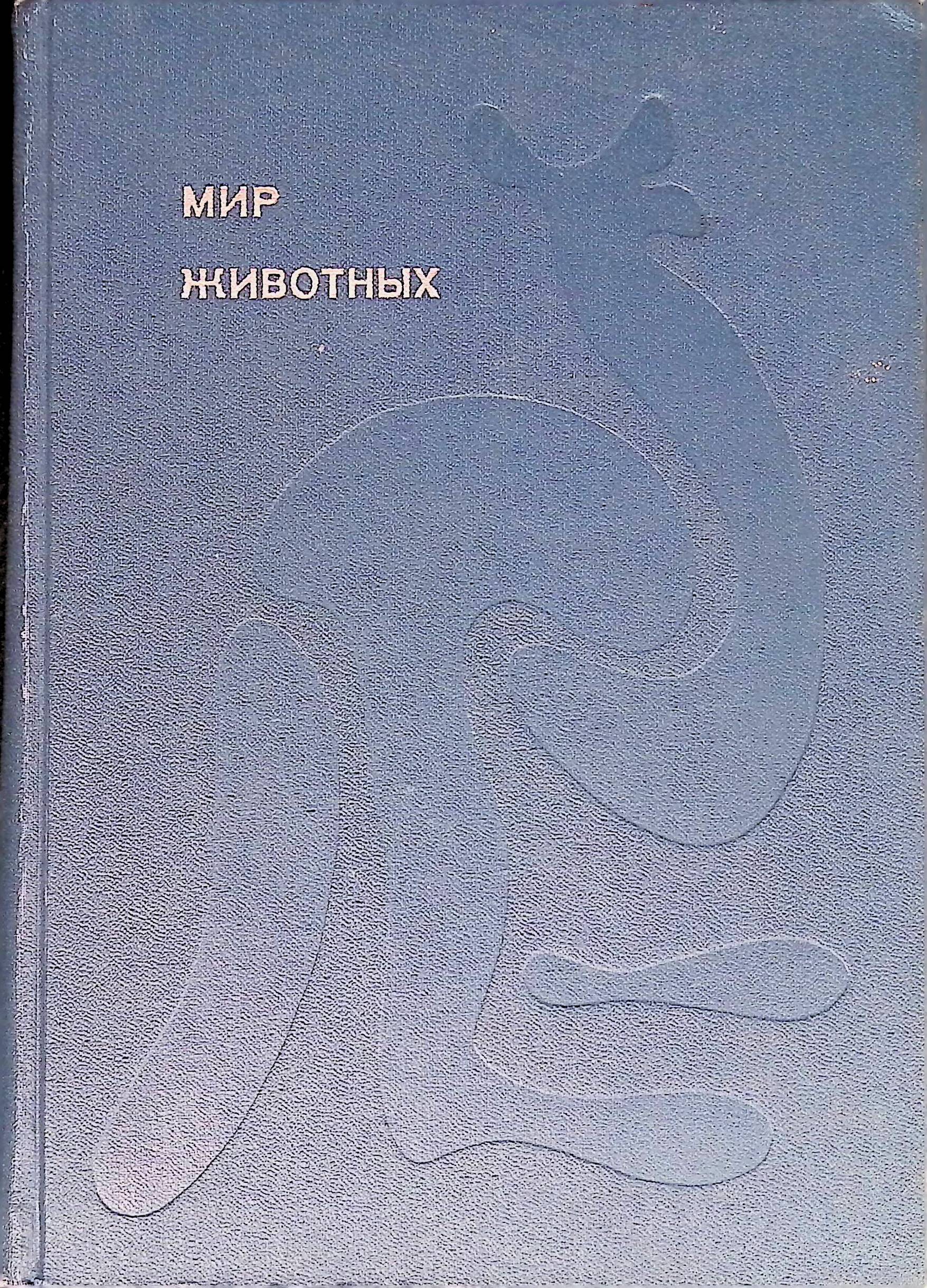 Акимушкин следы невиданных зверей читать. Акимушкин следы невиданных зверей.