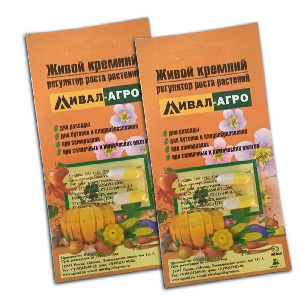 Кремний в аптеке. Sunflower lecithin 1200 мг 200 капсул. Кремний витамины солгар. Кремний витамины. Альга омега-3 плюс, 50 капс.