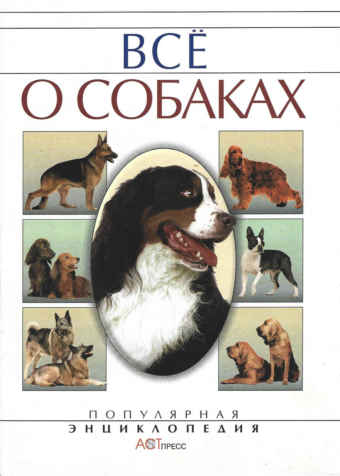 Книги о собаках. Все о собаках книга. Книга всë о собаках. Все собаки. Всё для собак.