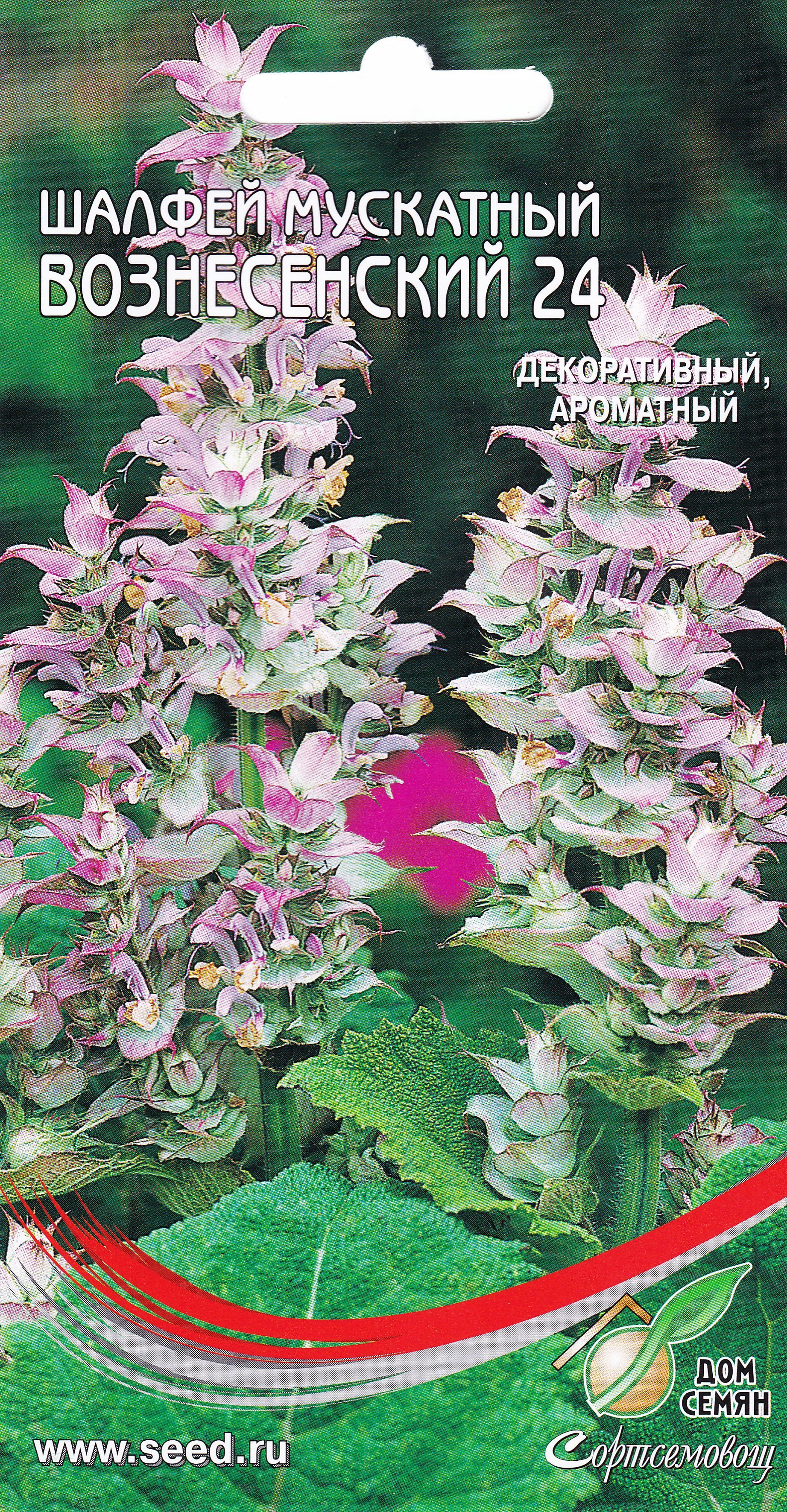 Шалфей Семенами Цена