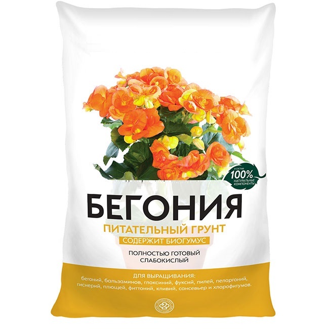 Бегония грунт для посадки. Бегония грунт для посадки