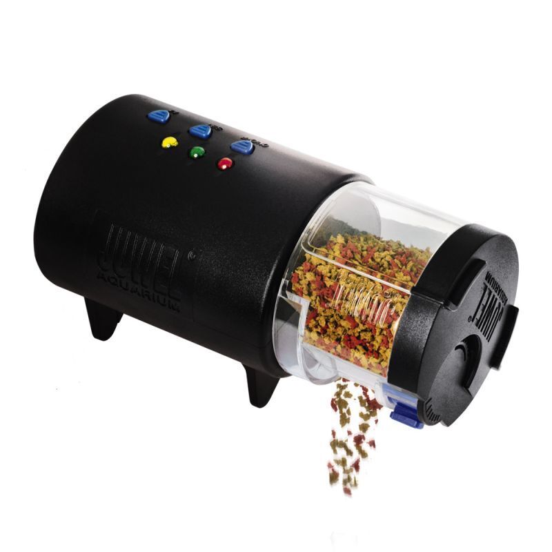 1. Регулярное питание