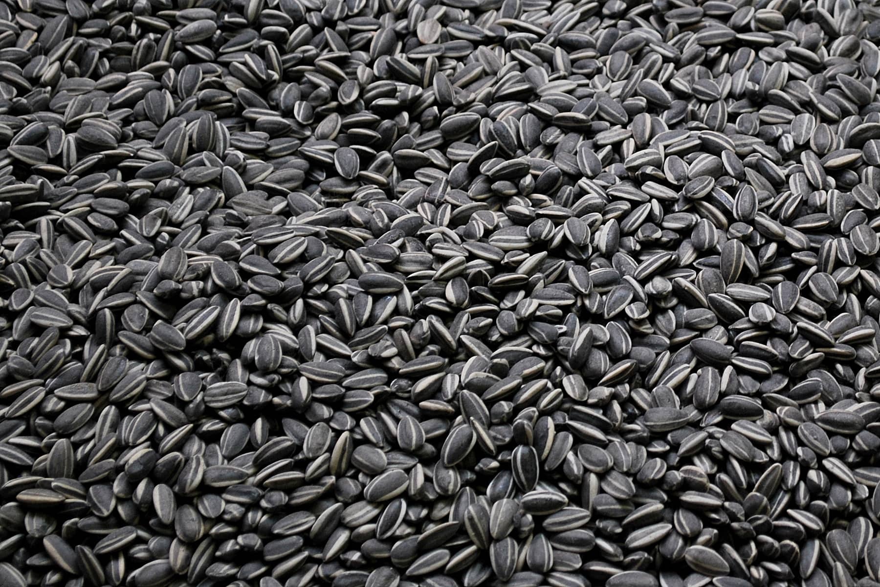 Семена оптом на развес купить семена афганку