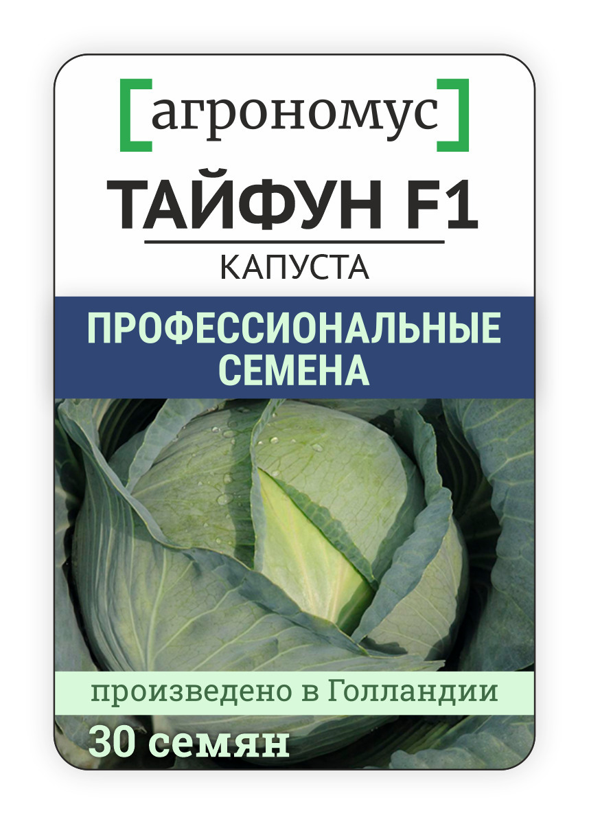 Капуста тайфун описание сорта фото отзывы