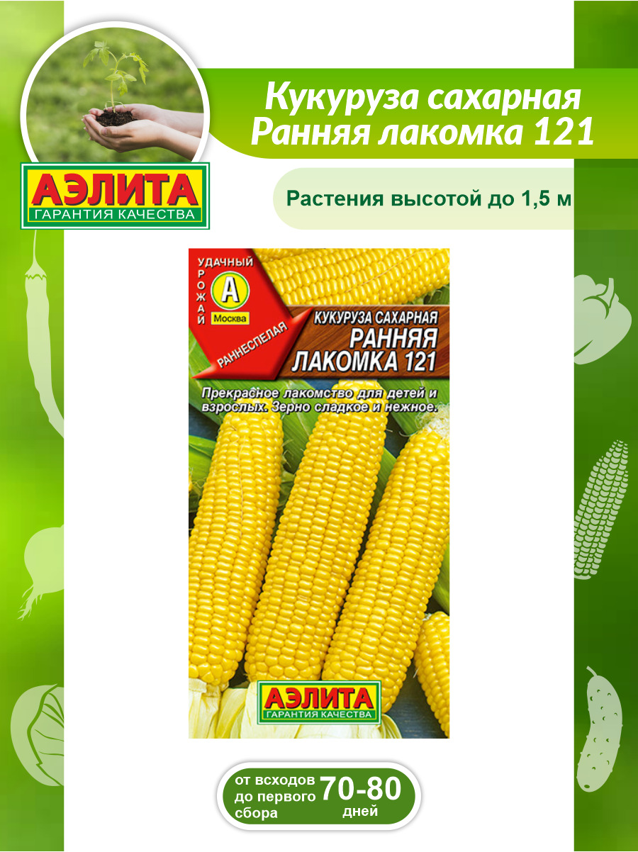 Особенности агротехники выращивания зерновой культуры
