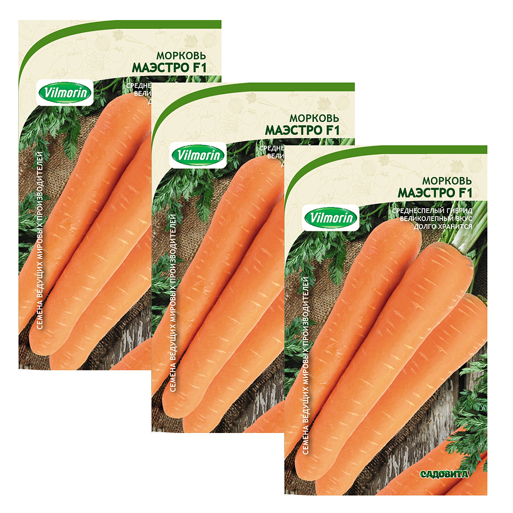 Морковь гибриды. Морковь f1 маэстро. Огурец маэстро f1. Морковь маэстро f1 цена 5гр.