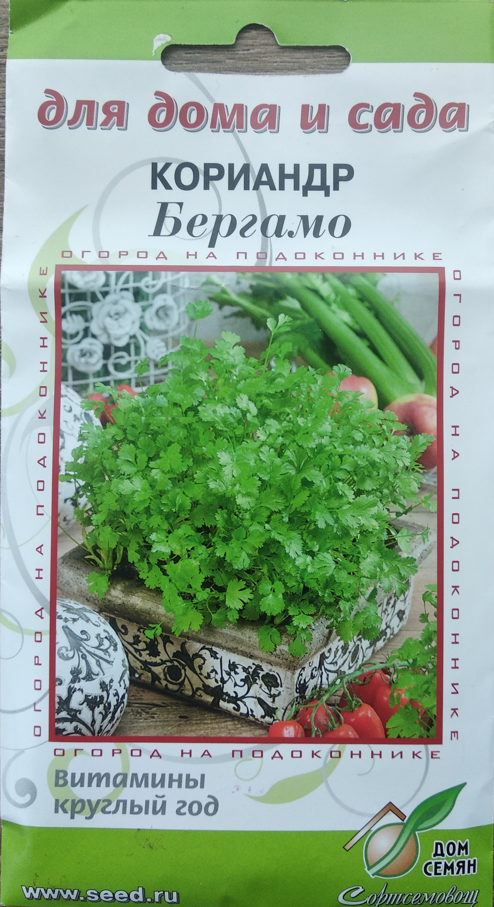 Кориандр Бергамо, огород на подоконнике, витамины круглый год, 75 семян