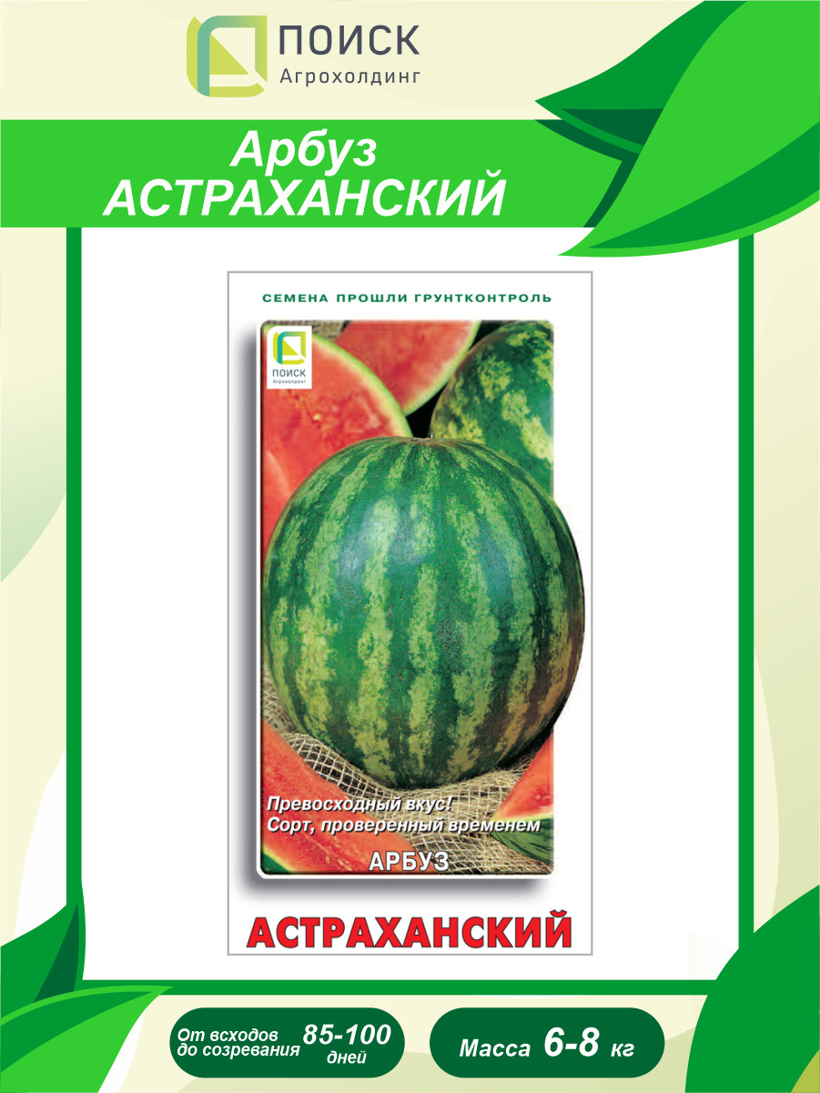 Вопреки расхожего мнения астраханский арбуз. Арбуз Астраханский семена. Арбуз сорт Астраханский. Семена арбуза Астраханка. Сорта арбузов Астраханской области.