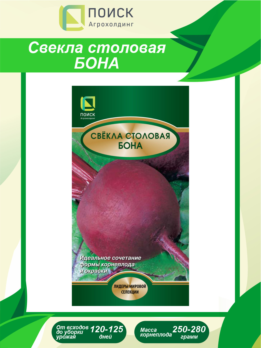 Купить Семена Свеклы Столовой