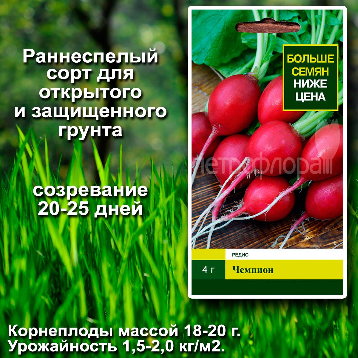 Впечатления от вкусового буйства и текстурных изысков