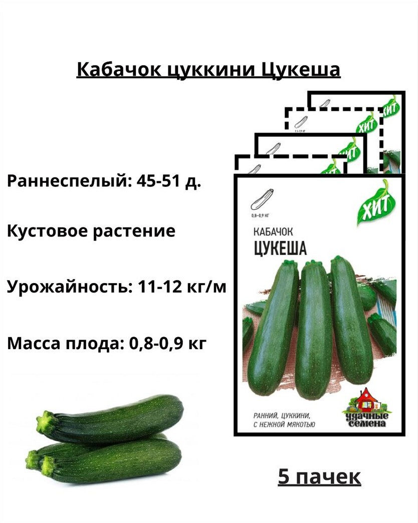 Кабачок цукеша схема посадки