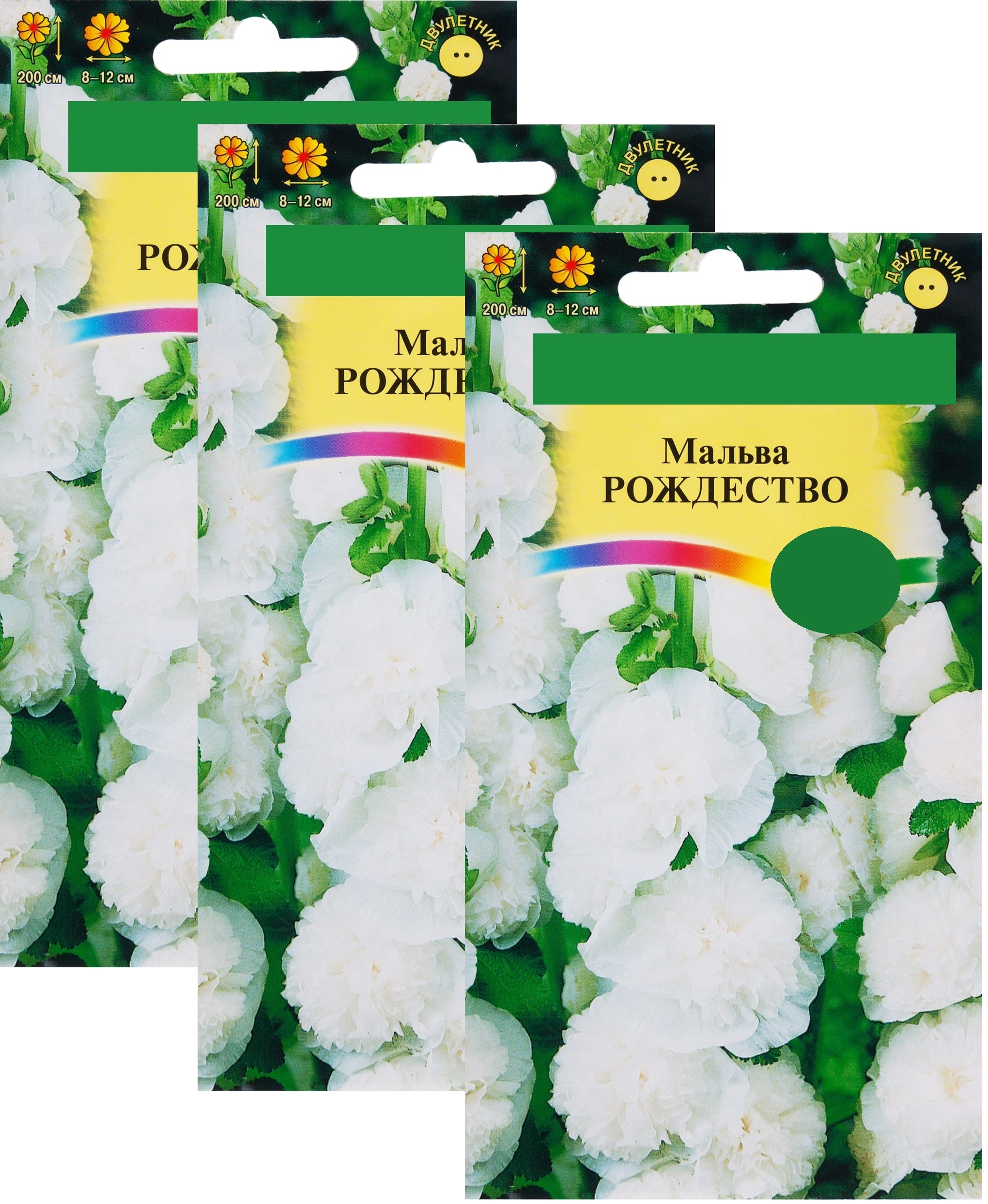 Семена Роз Купить Многолетние