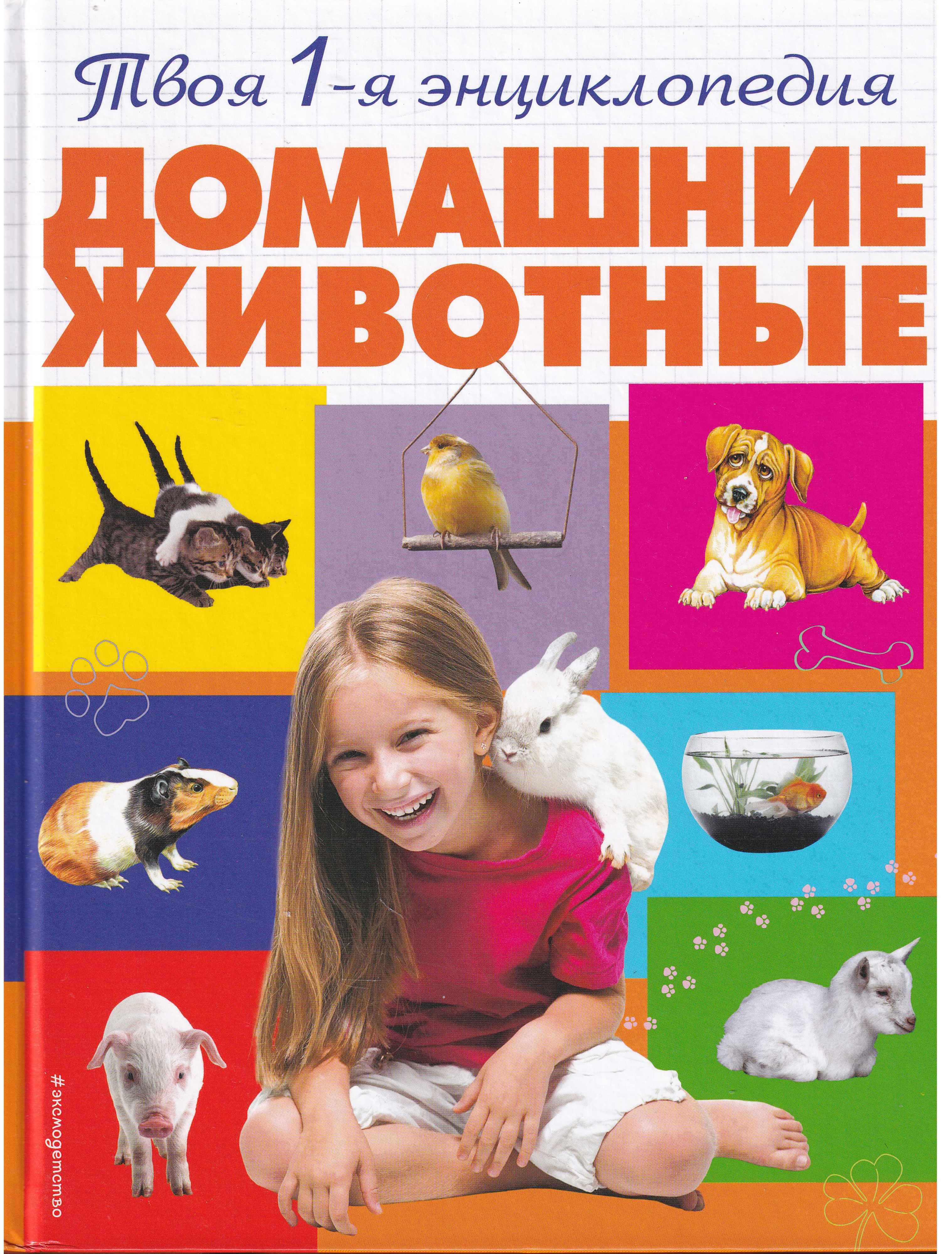 Моя новая жизнь в мире зверей читать. КГИ И О домашних животных. Книги о домашнизживотных. Книги о домашних животных. Книге одамашних жывотных.