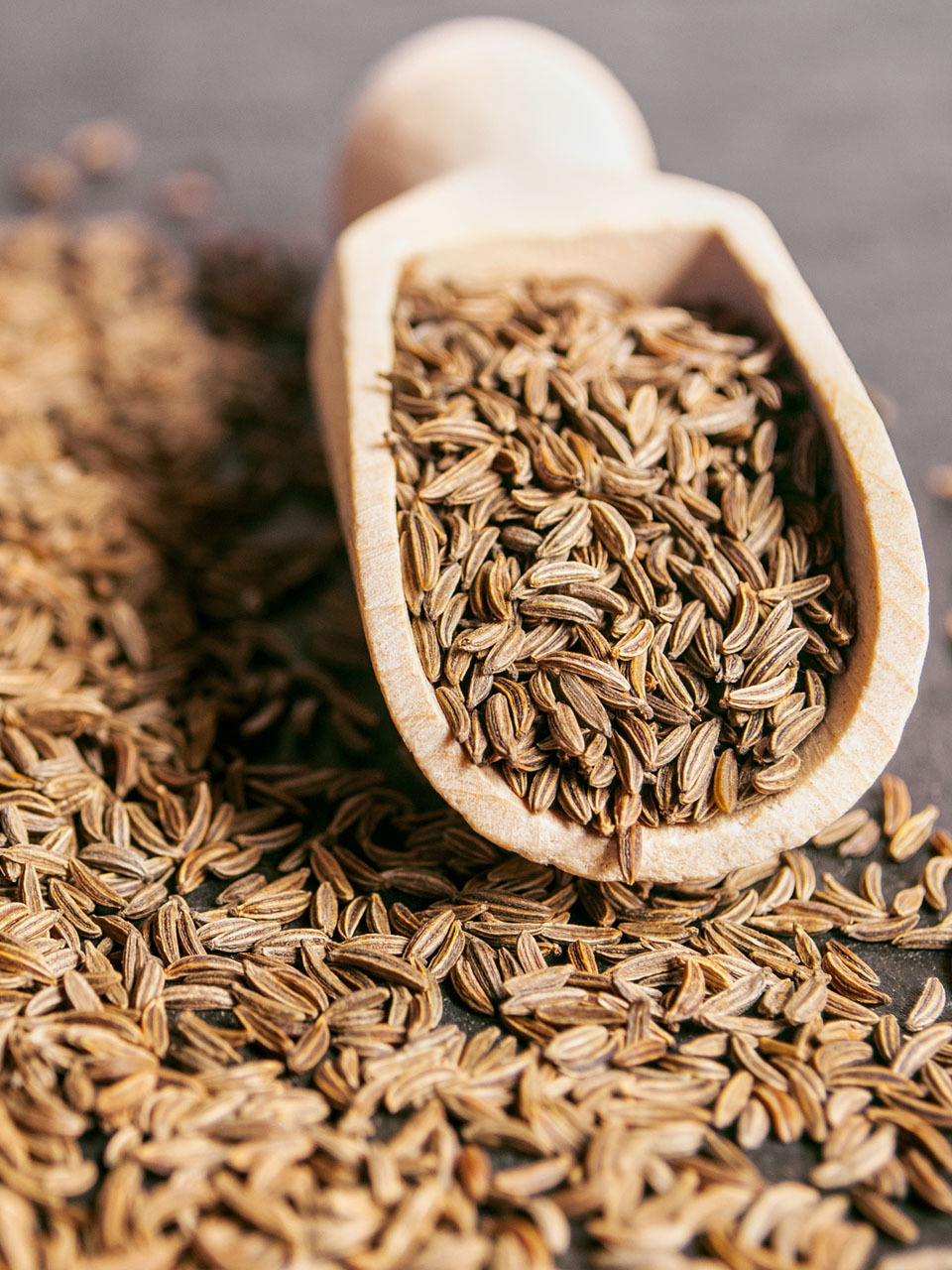 Зира (кумин). Кумин зира приправа. Зира картинка. Кумин зира приправа. Зира семена кумина.