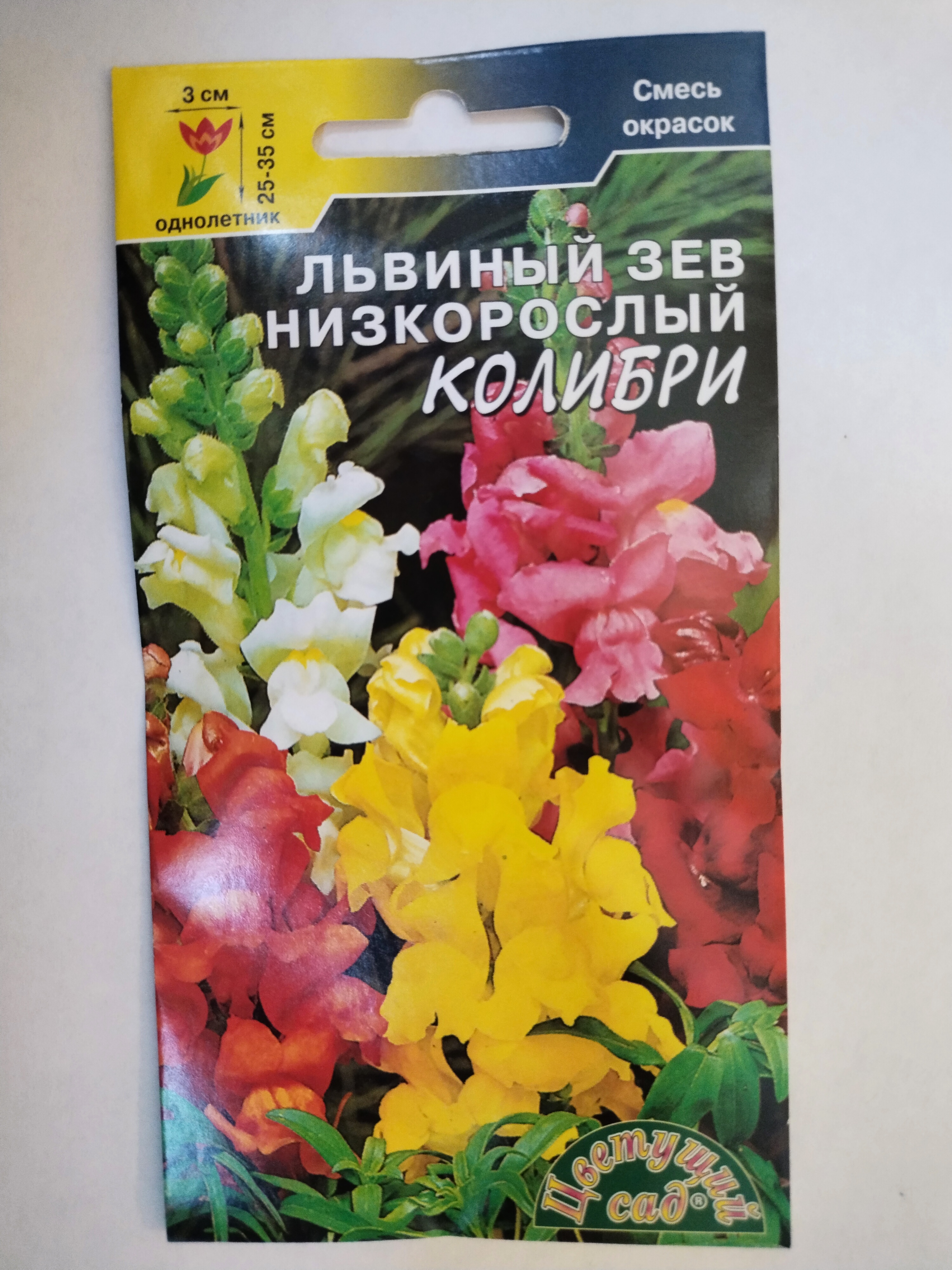 Цветы львиный зев