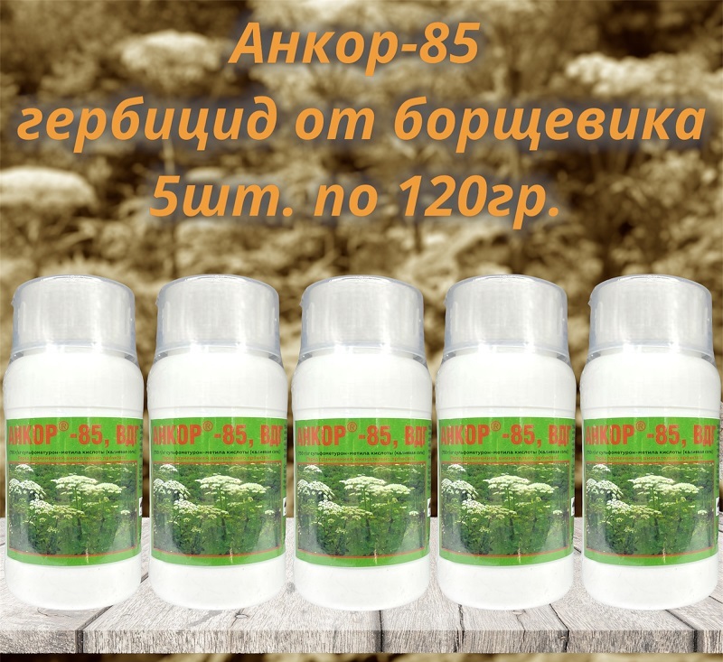 Гербицид анкор 85. Анкор 85 гранулы. Анкора удобрение. Анкор-85 купить. МАЗ кислотная муравей для уничтожение лишние волос.