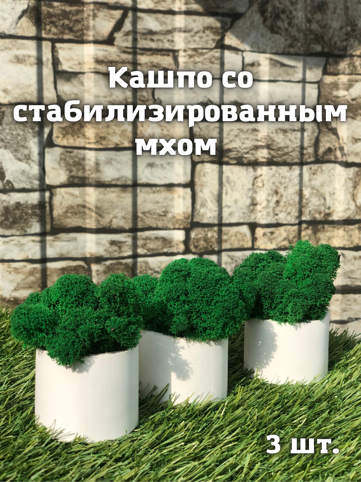 Кашпо со стабилизированным мхом 3 шт, зеленый ягель, из гипса, декор для  дома , настольное украшение - купить с доставкой по выгодным ценам в  интернет-магазине OZON (643569100)