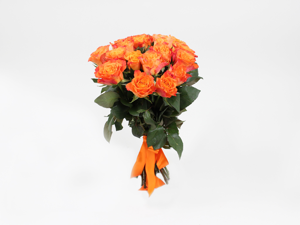 Tdp450 fioretta wood green тарелка обеденная 27см. Тарелка суповая fioretta 20см wood red. Упаковка для оранжевых кустовых роз. Акрил 5 мм оранжевый. Оранжевая 19.