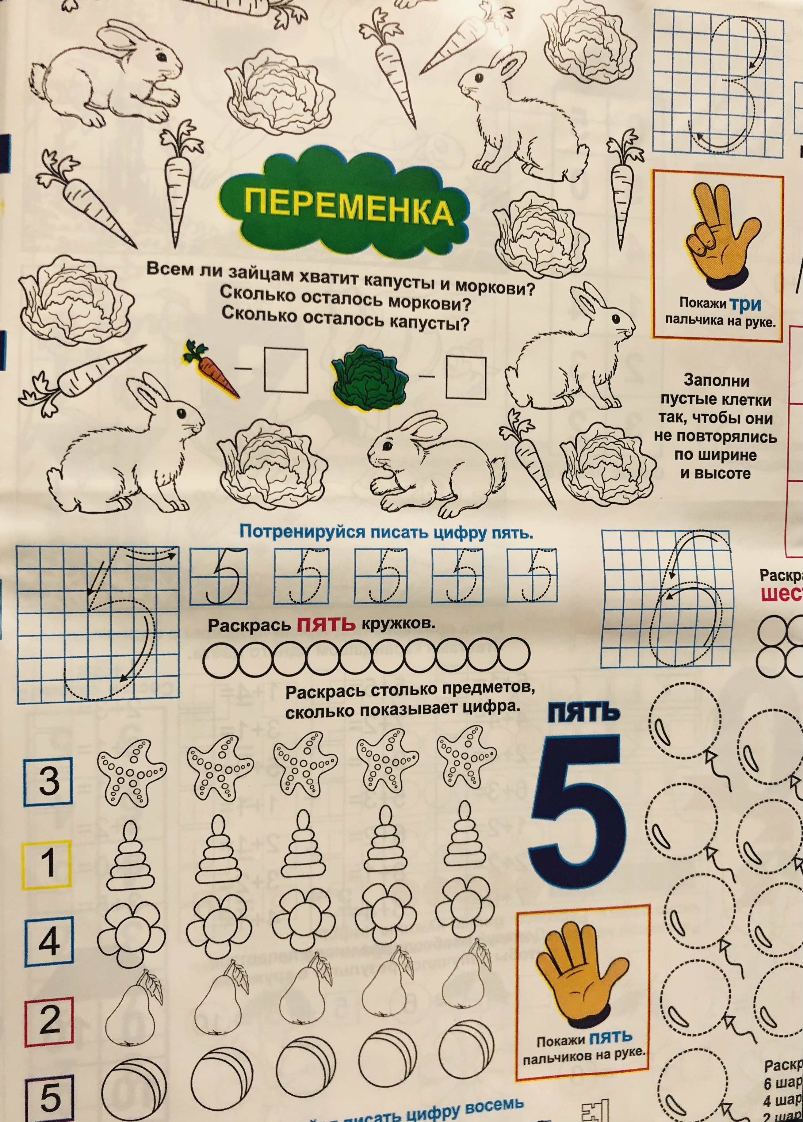 Раскраска-скатерть Изучаем в ассортименте