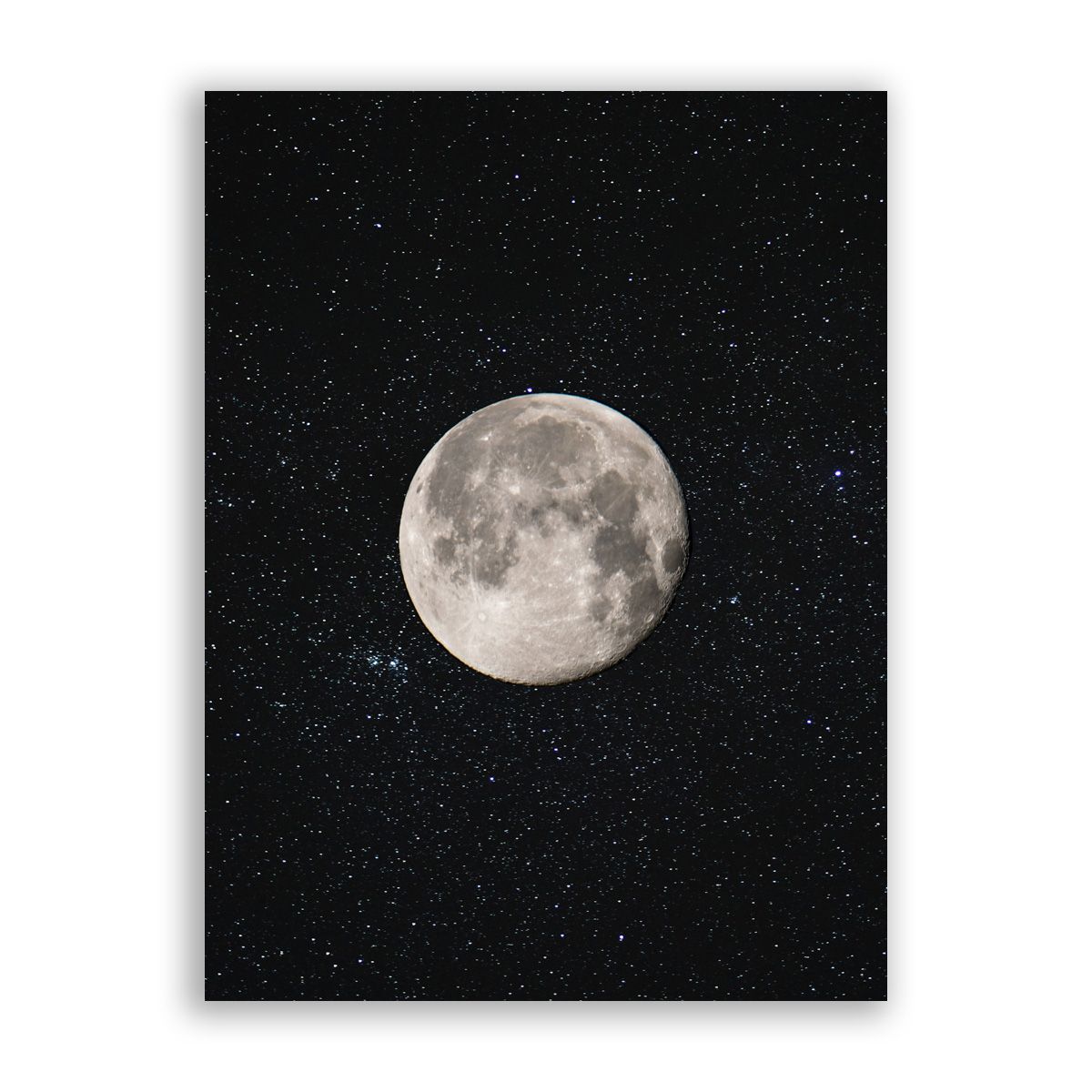 Paper moon одежда. Paper moon одежда