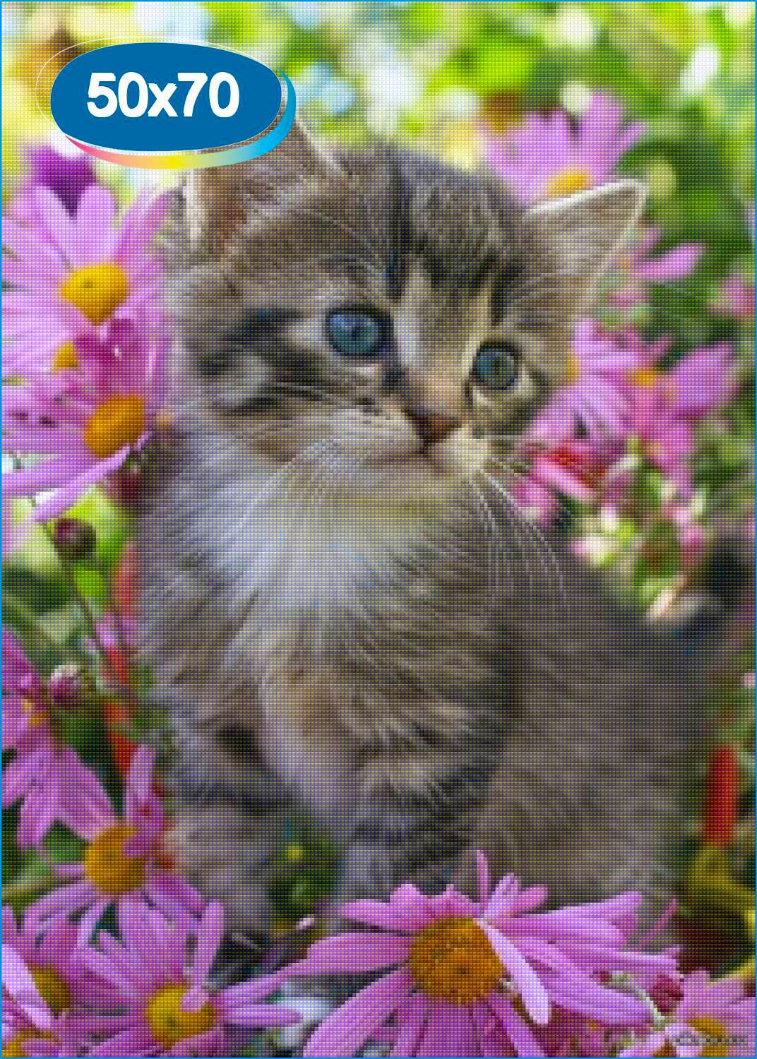 Симпатичный котенок. Красивые котята. Красивые котики. Красивые кошечки. Котенок с цветочком.