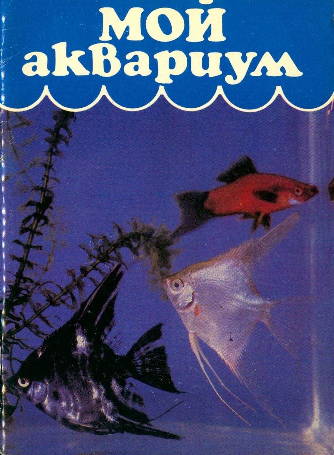 Книга аквариум отзывы. Аквариум книга. Книжки про аквариум. Мой аквариум книга.