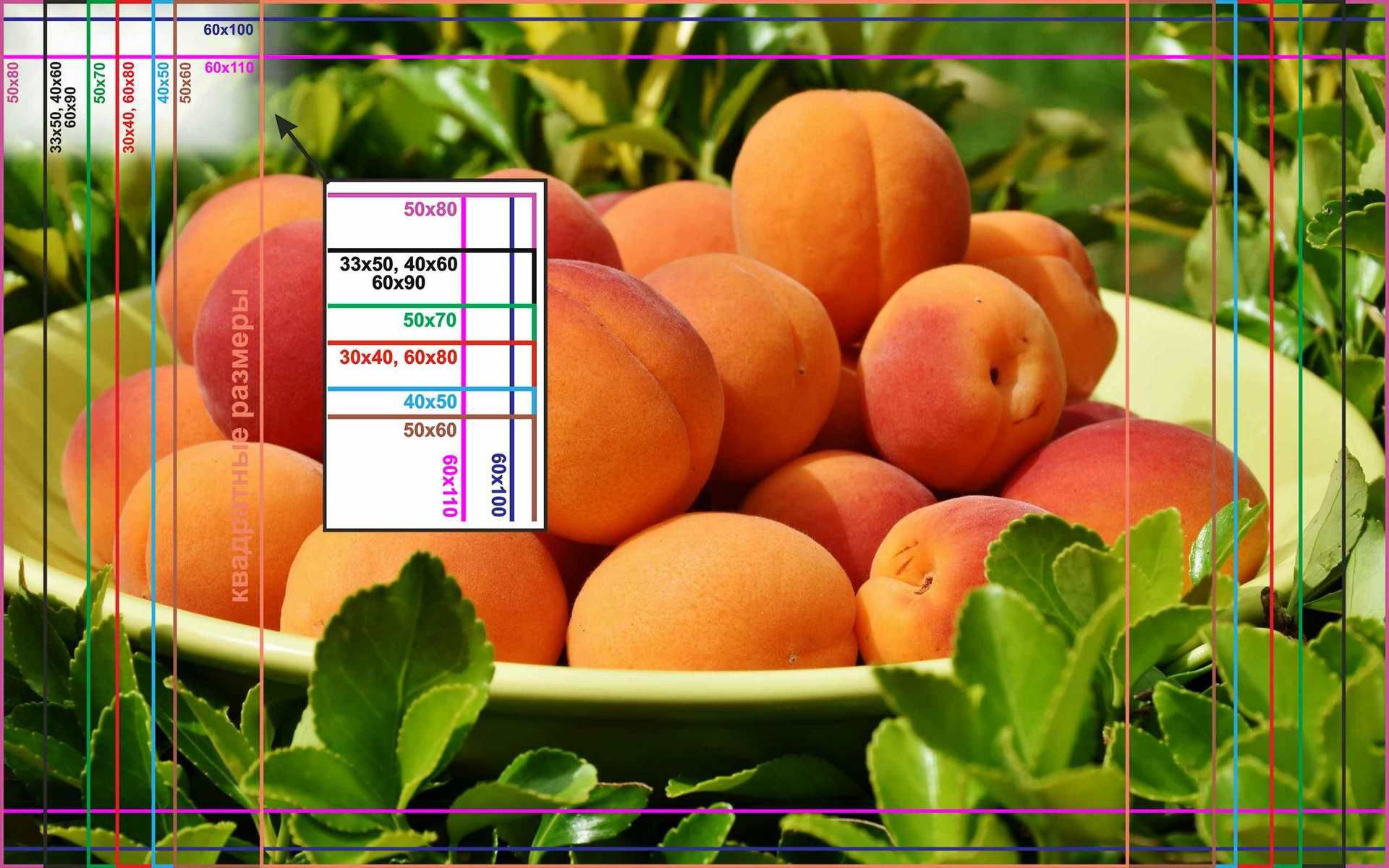 Абрикосы на тарелке. В абрикосах 70. В абрикосах 70. Персик абрикос урюк. Жардель абрикос.