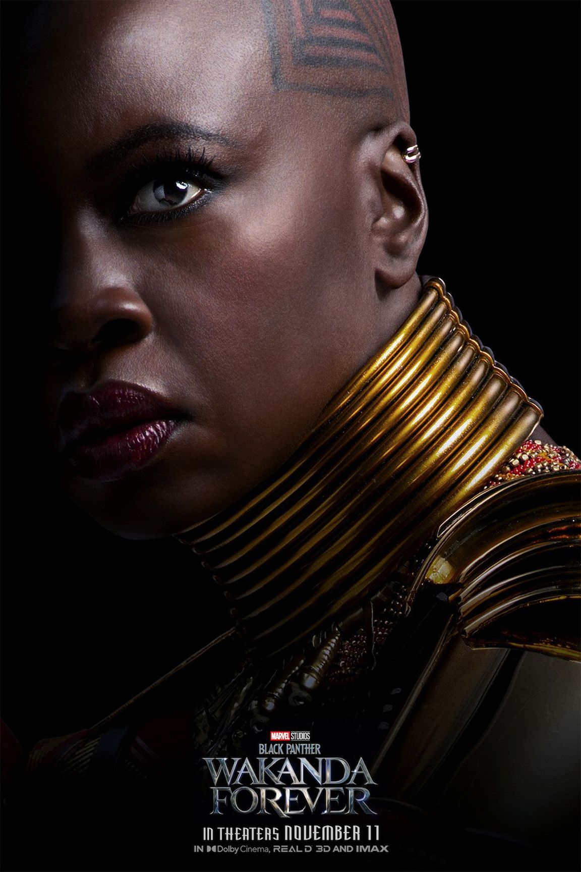 Panther wakanda forever