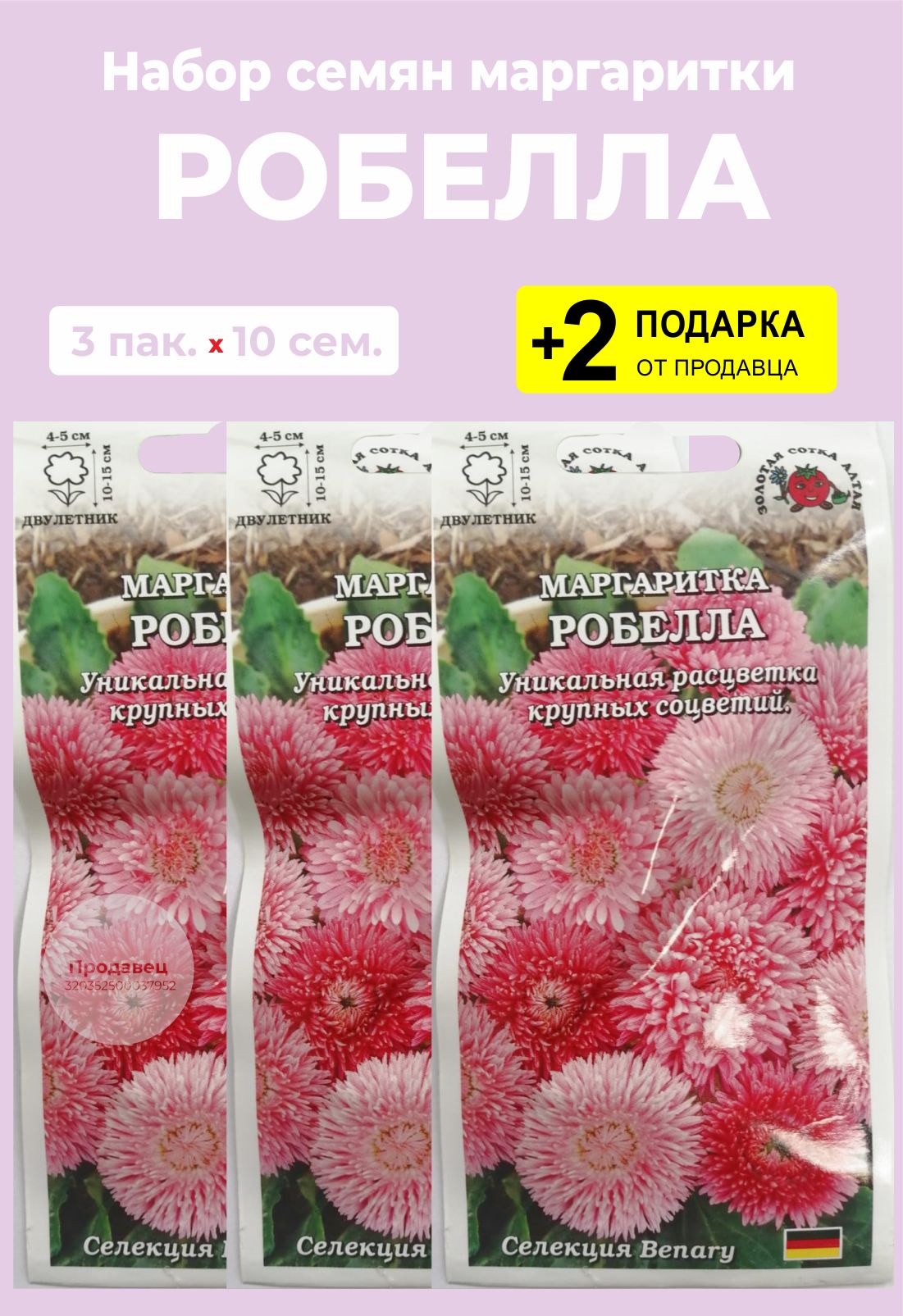 Маргаритки Семена Купить