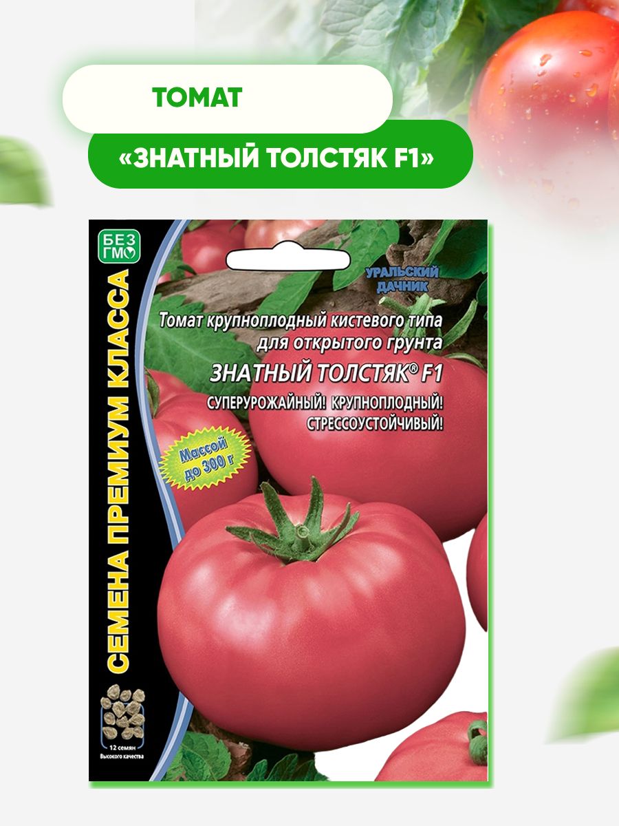 Томат толстяк. Знатный толстяк томат описание и фото отзывы. Знатный толстяк томат описание и фото отзывы. Томат толстячок f1 характеристика. Томат знатный толстяк f1.