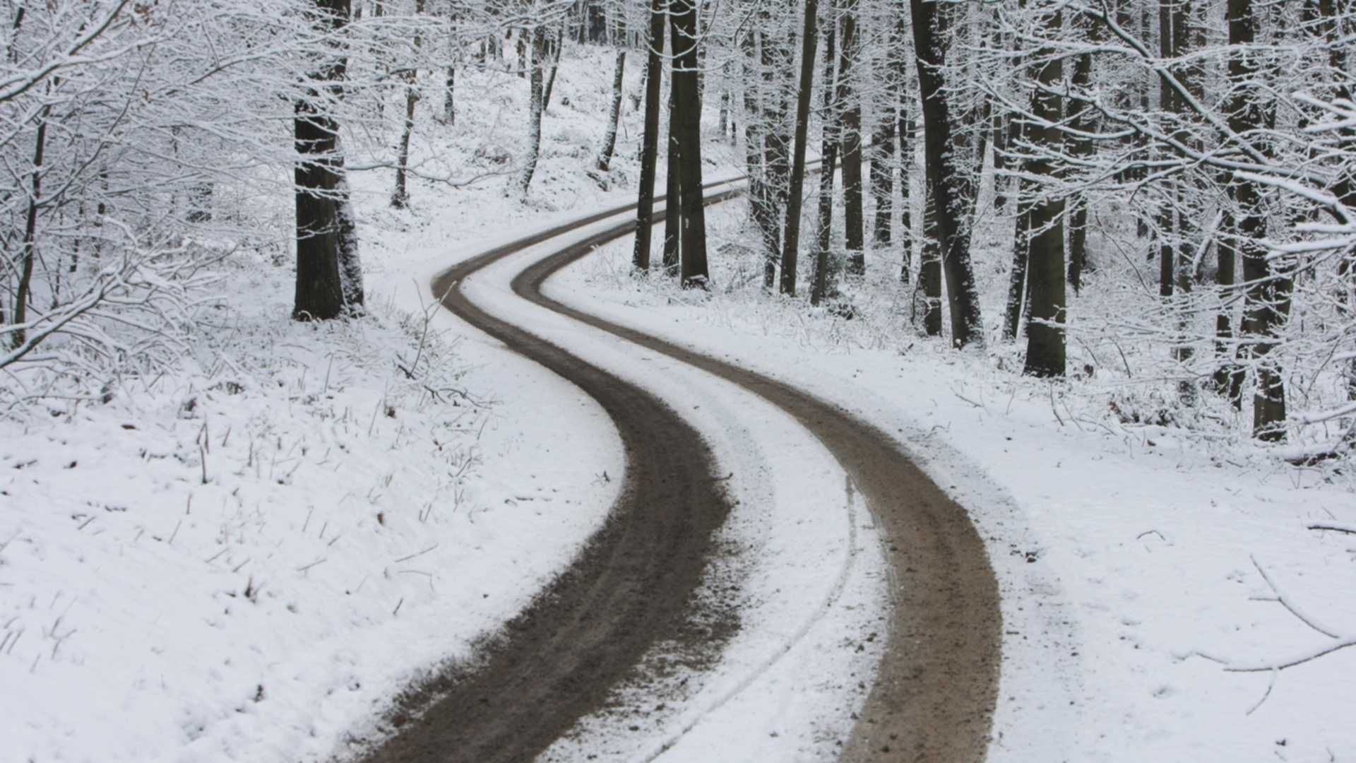 Зимняя дорога в лесу