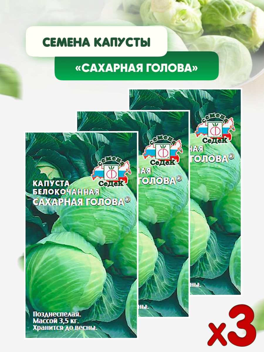 Купить Семена Капусты Сахарная Голова