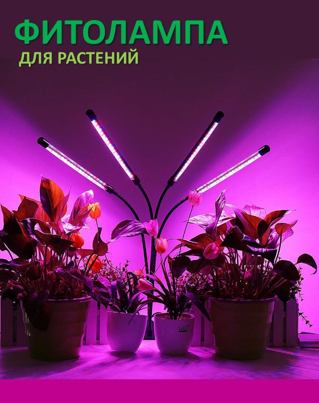 Фитолампа для растений Максидом