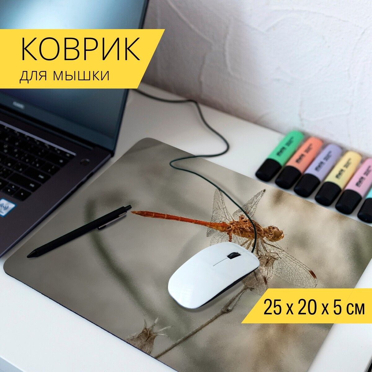 Мышка vgn dragonfly f1. Vgn dragonfly f1 pro. Vgn dragonfly f1 pro. Крылья насекомых. Dragonfly мышь.