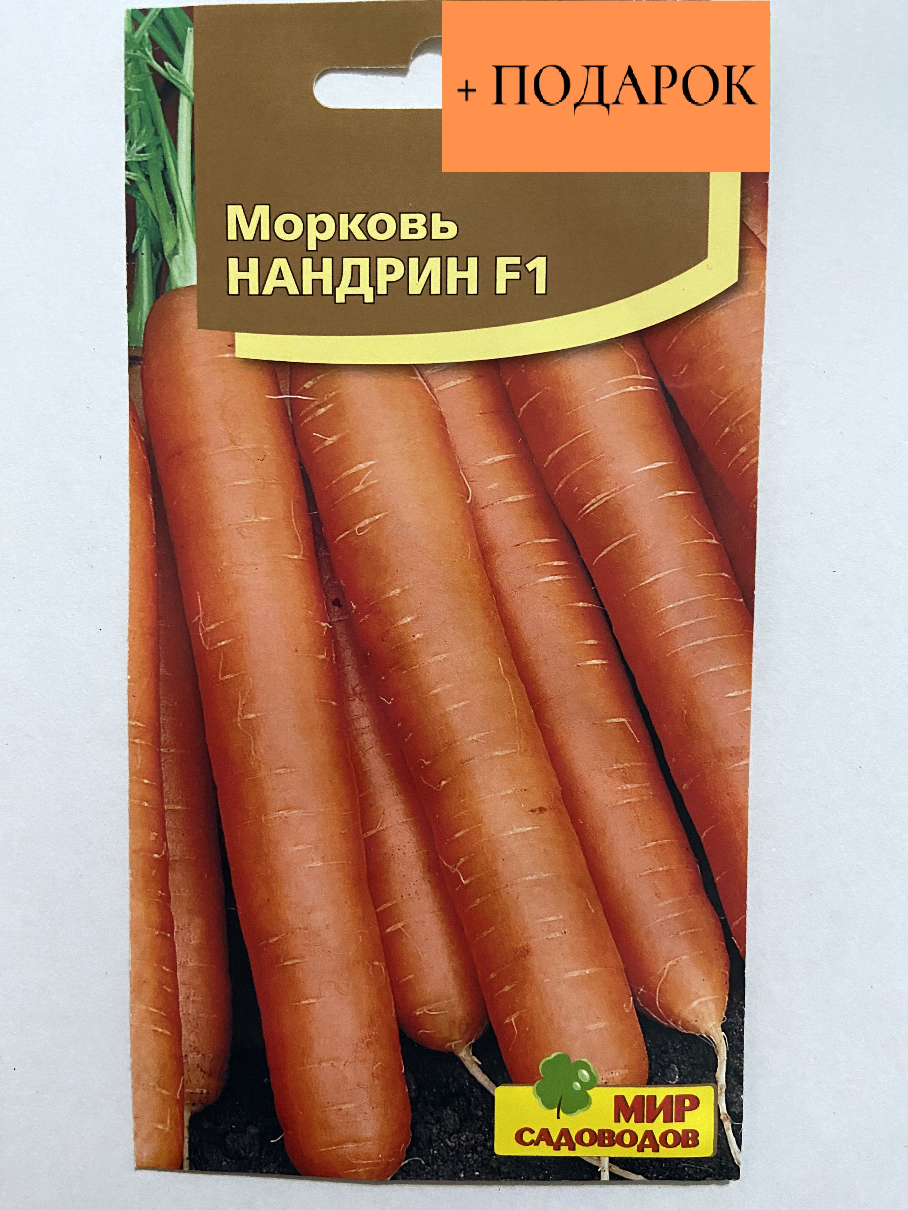 Морковь нандрин. Нандрин. Морковь Нандрин Палтимор и Канада показать картинку. Морковь Нандрин среднеспелая отзывы характеристика и урожайность.