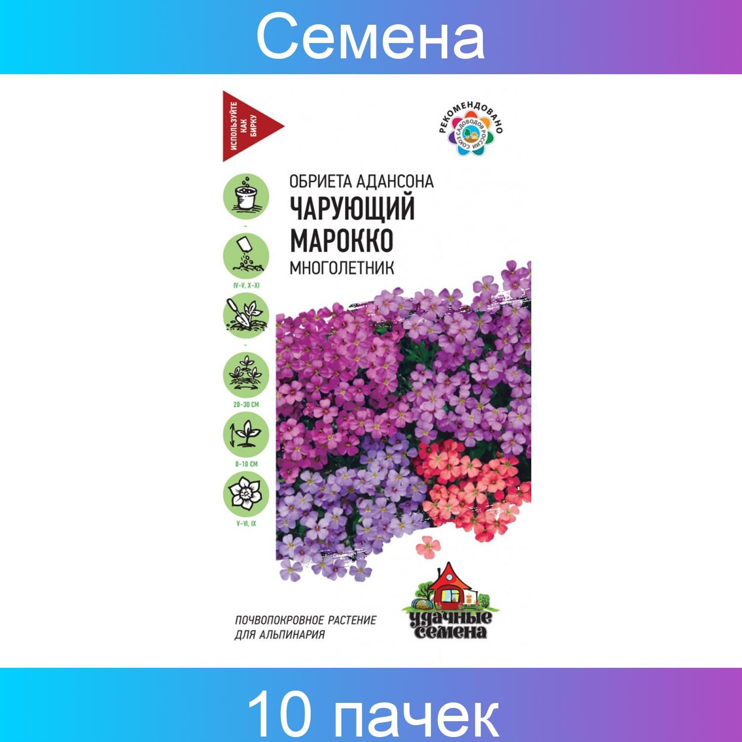 Обриета многолетняя Марокко