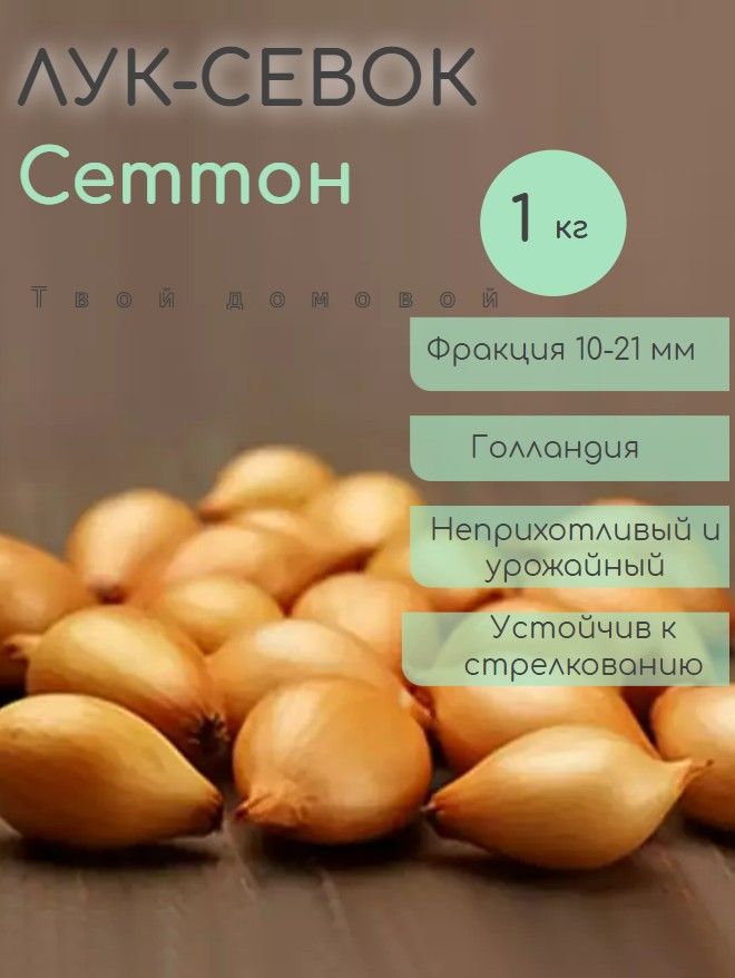 Лук севок семко золотистый описание сорта отзывы. Лук севок семко золотистый описание сорта отзывы