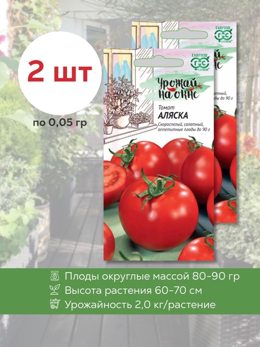 Томат аляска описание. Томат Аляска. Гавриш семена помидор. Томат Аляска урожай на окне Гавриш. Гавриш томат Титан 0,3 г.