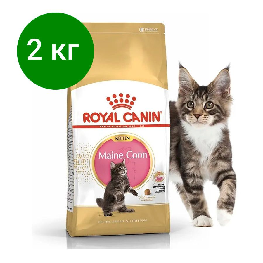 Royal Canin Maine Coon 2 Кг Купить