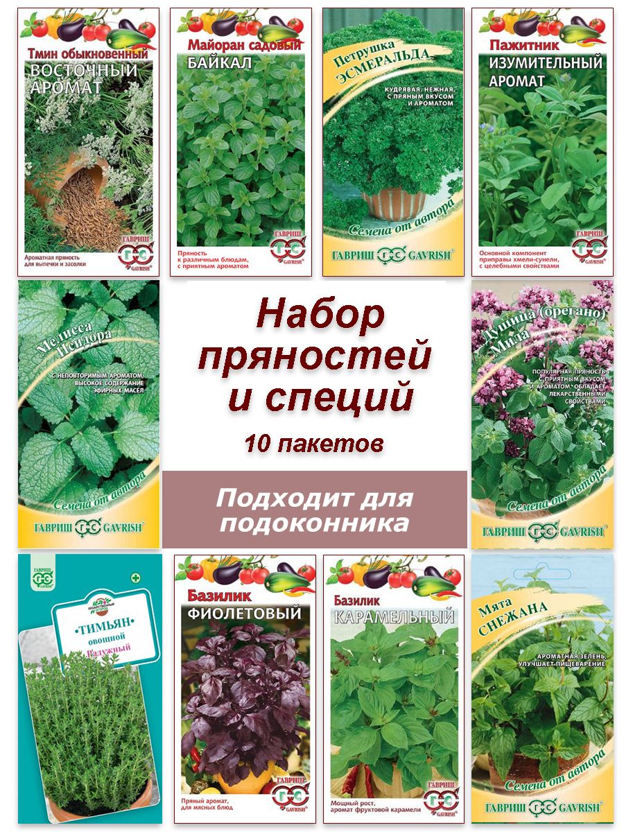 Базилик, Мята Гавриш набор семян, Пряности, специи, травы, базилик, мята,  душица, мелисса и др - купить по выгодным ценам в интернет-магазине OZON  (264268026)