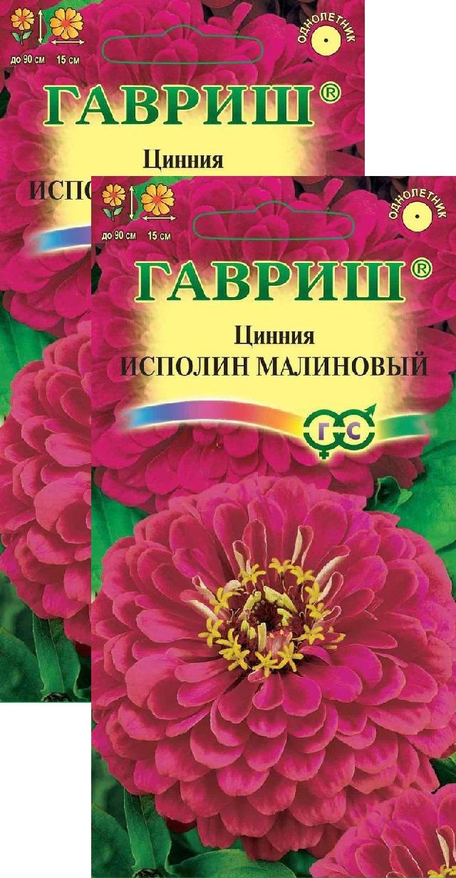 Цинния малиновый звон фото