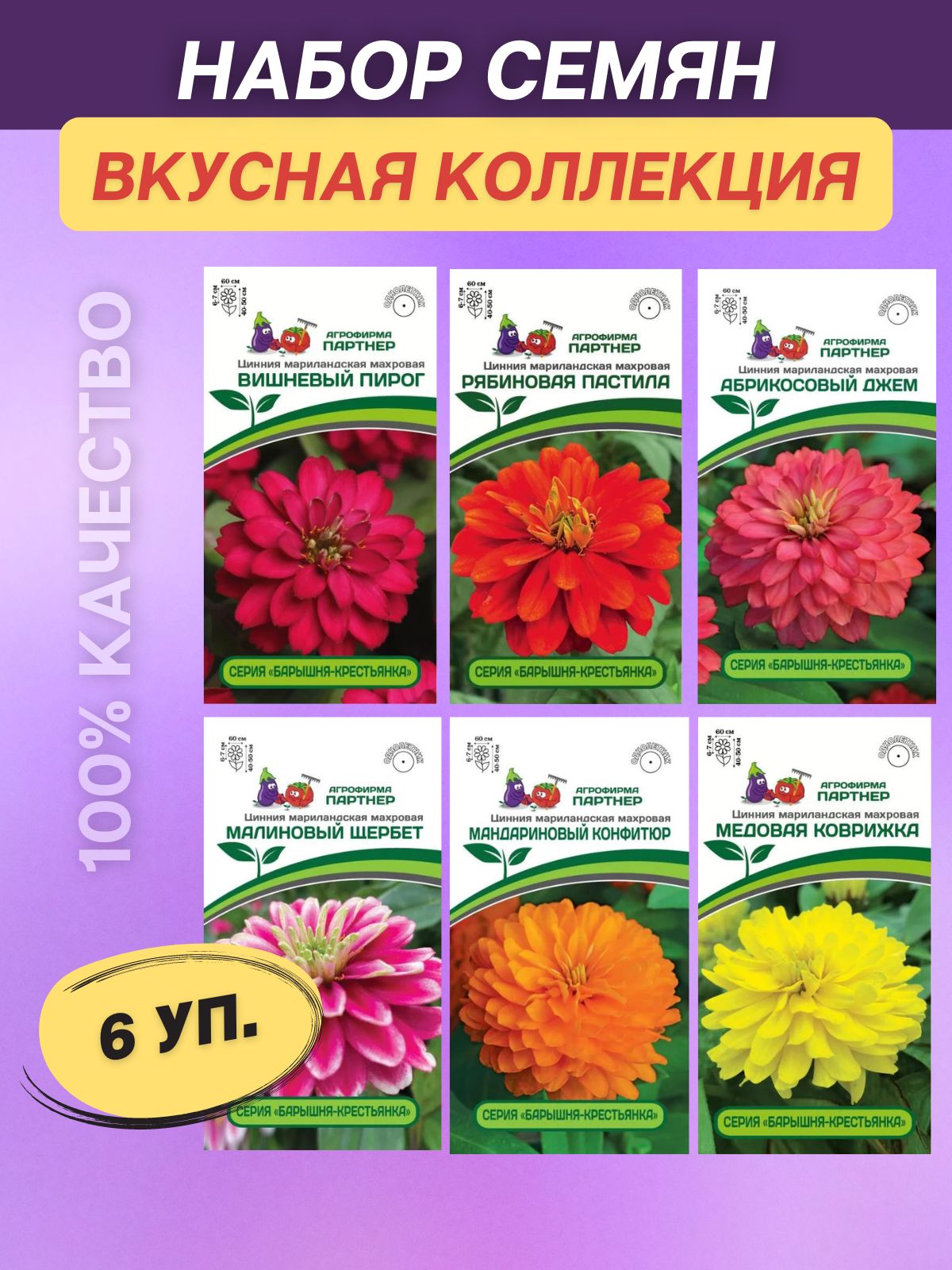 циния медовая коврижка. циния абрикосовый джем. циния барышня крестьянка. цинния малиновый щербет. цинния малиновый щербет партнер.